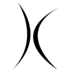 Logo TanzXclusive